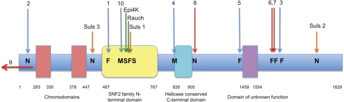 Figure 4