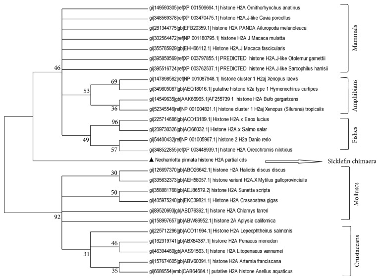 Figure 2