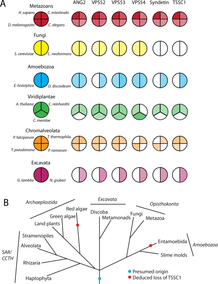 FIGURE 3: