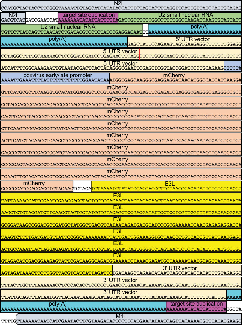 Figure 1—figure supplement 5.