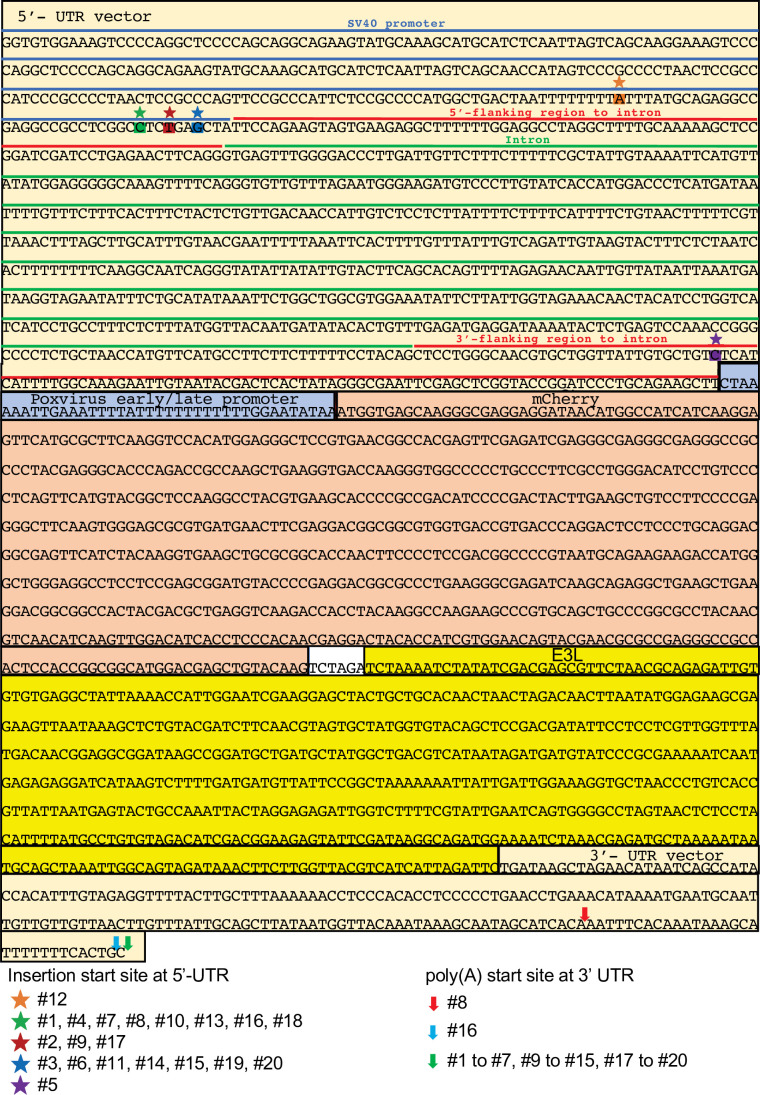 Figure 1—figure supplement 3.