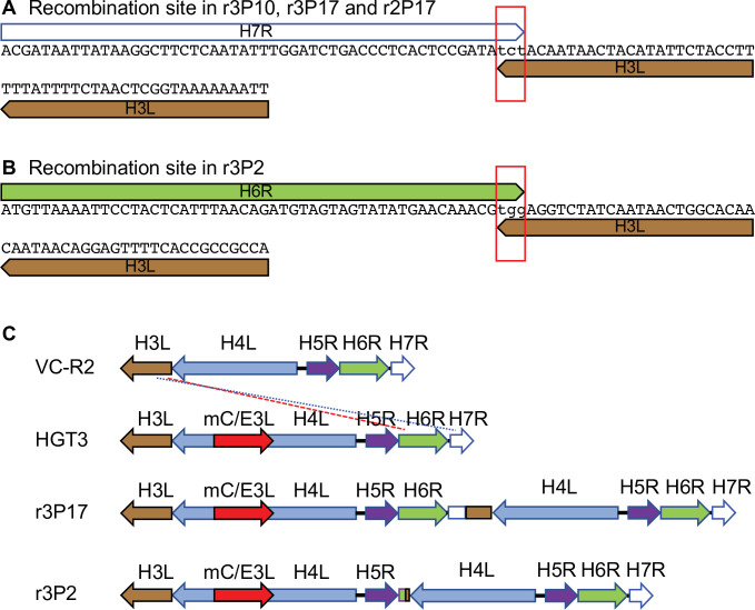 Figure 5—figure supplement 1.