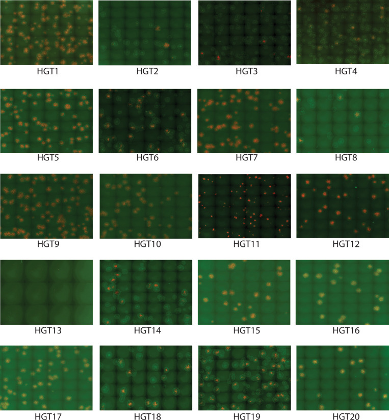 Figure 3—figure supplement 1.