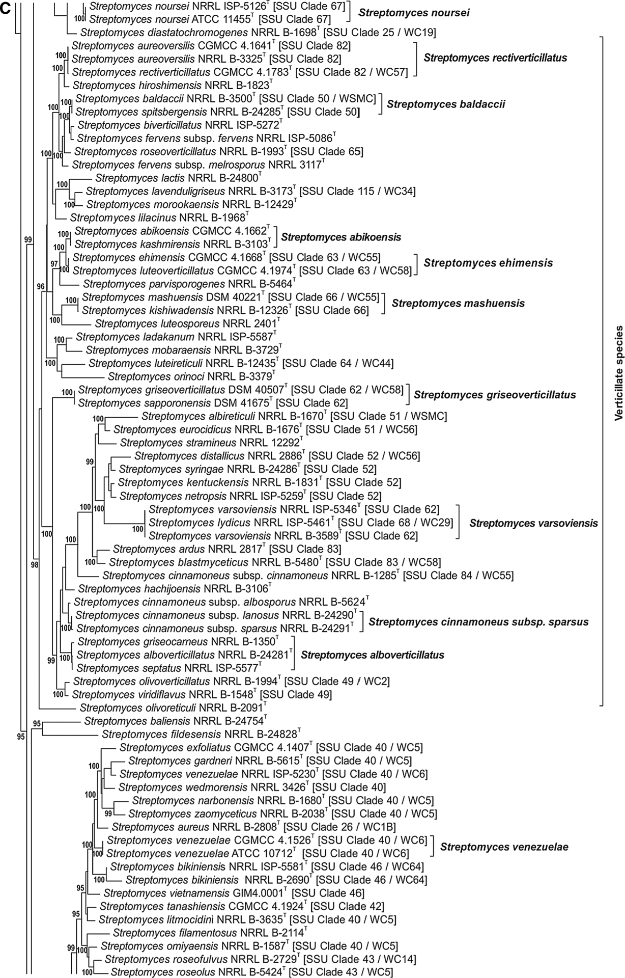 Fig. 1 a–j