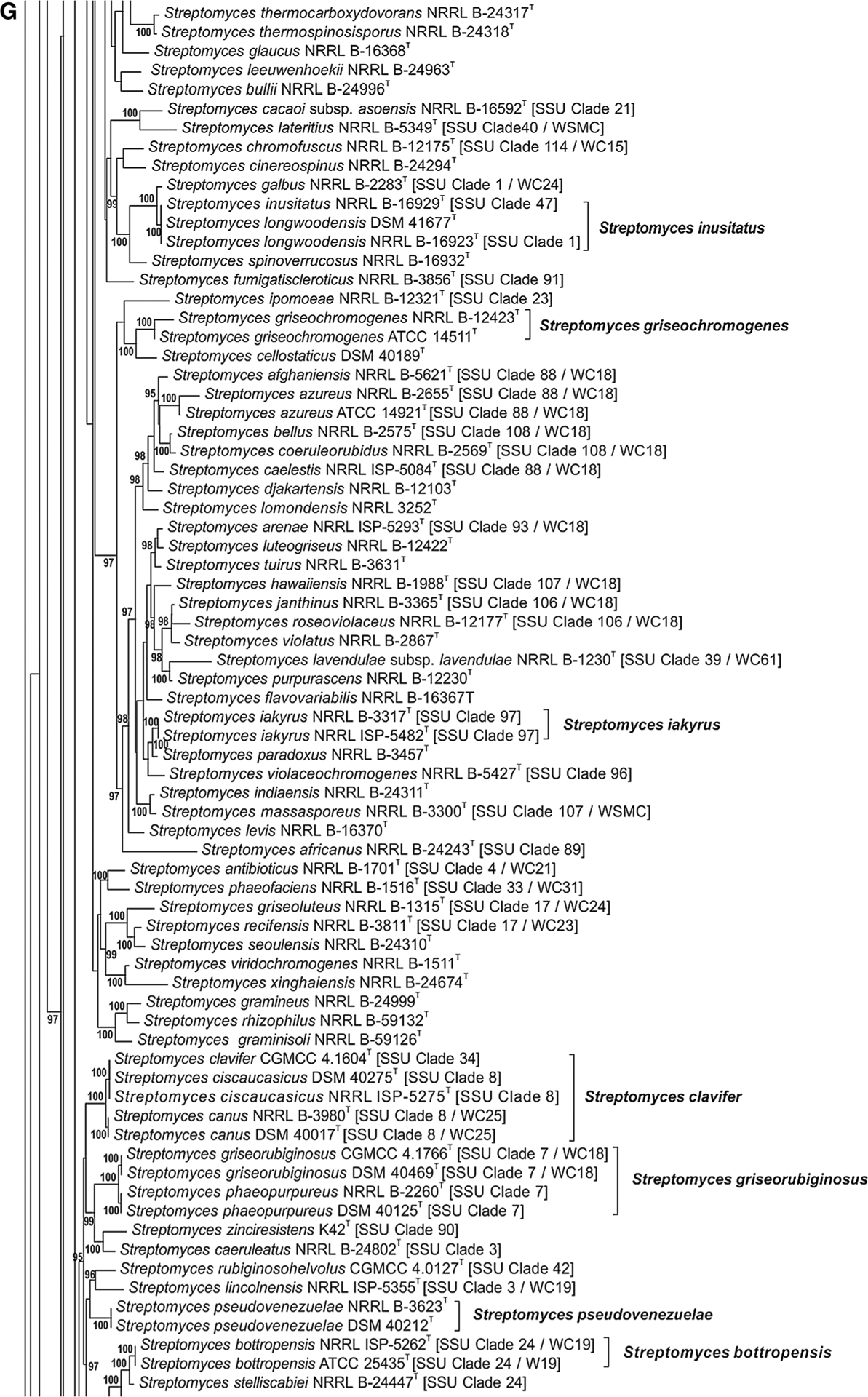 Fig. 1 a–j