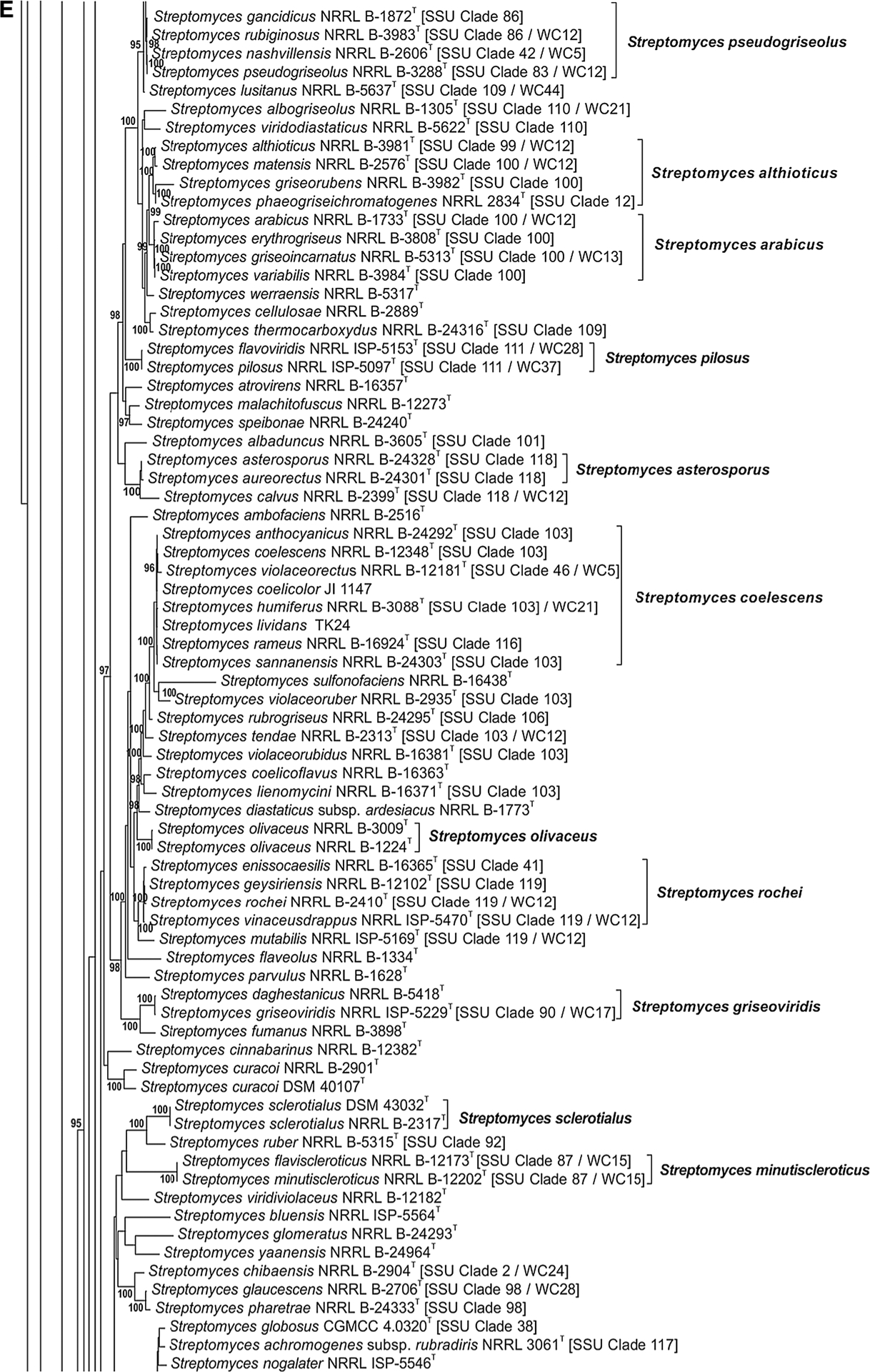 Fig. 1 a–j