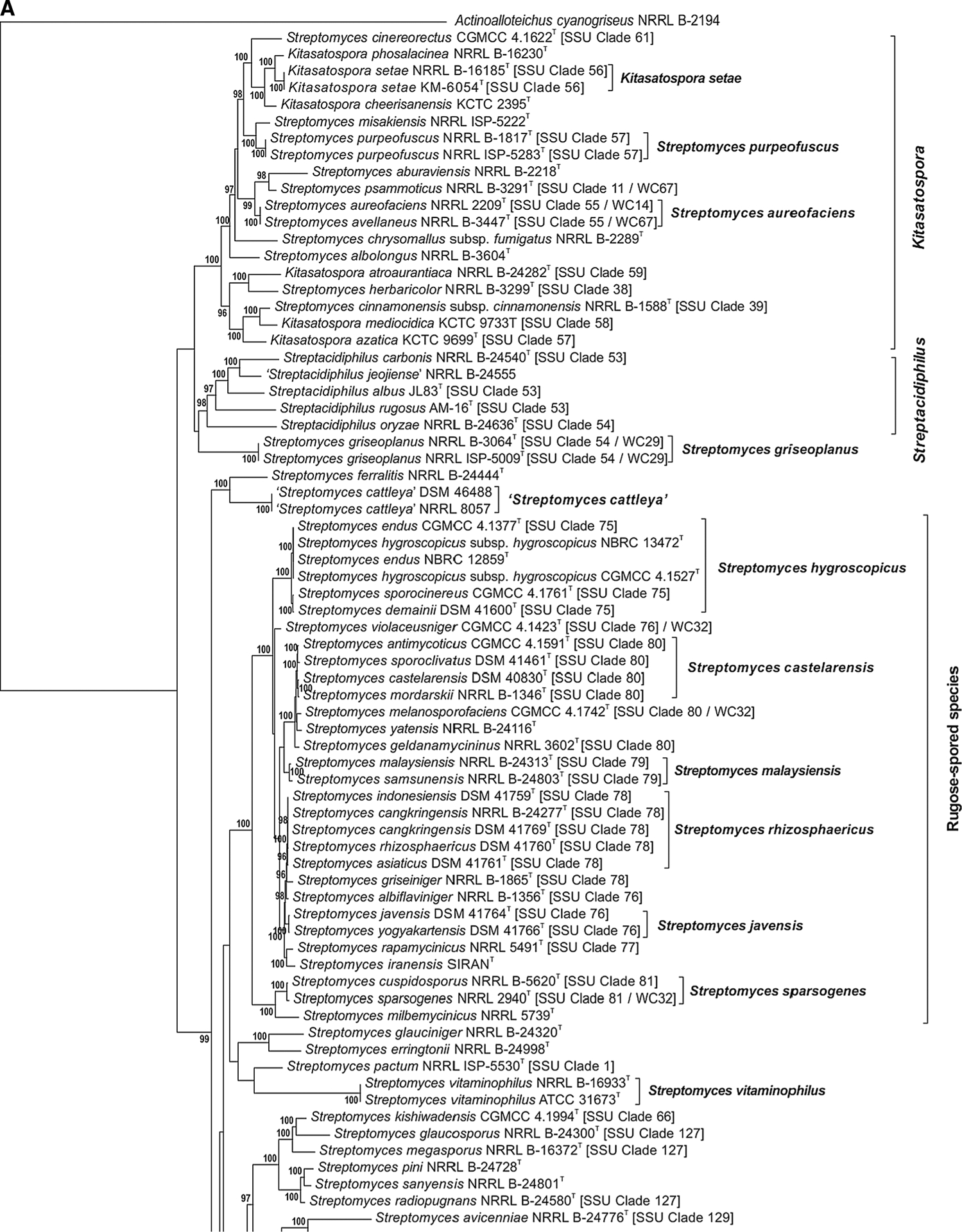 Fig. 1 a–j