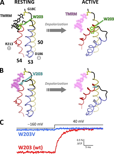 Figure 7.