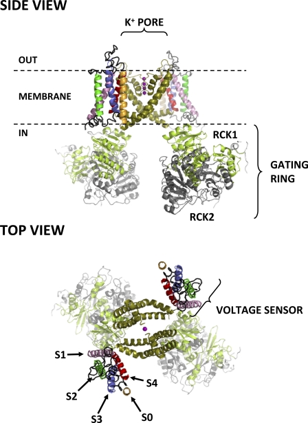 Figure 1.