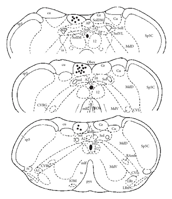 Figure 8