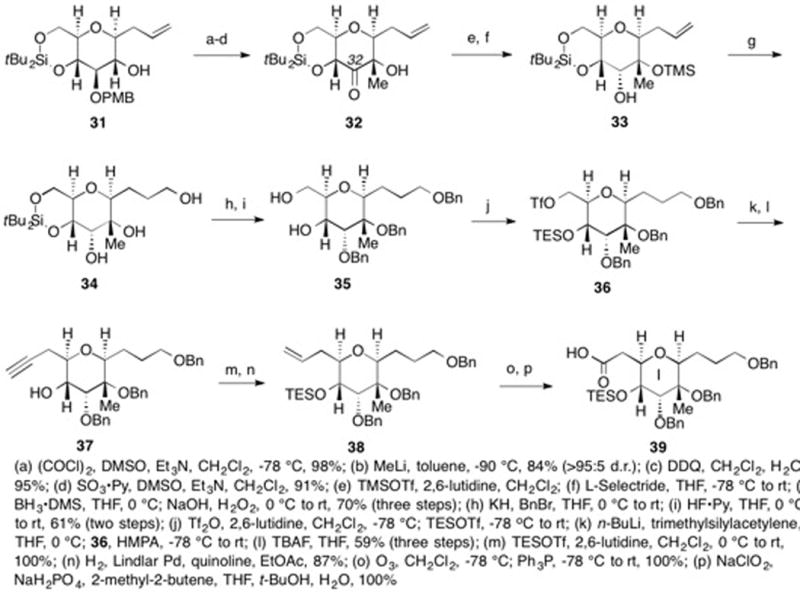 Scheme 5