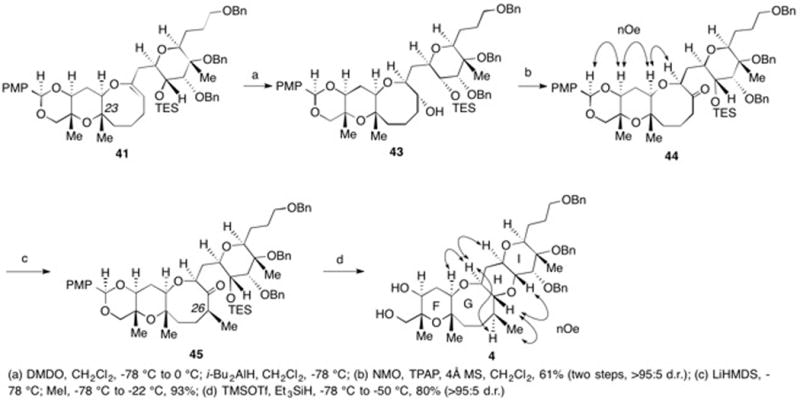 Scheme 7