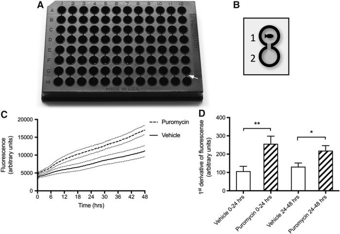 FIG. 4.