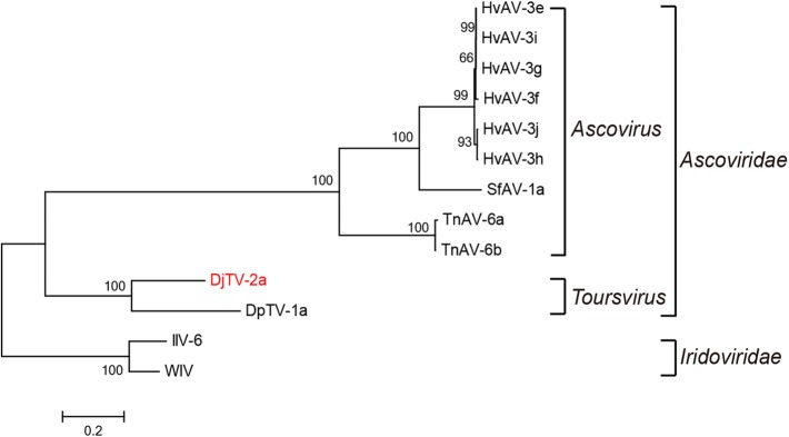 Fig. 3