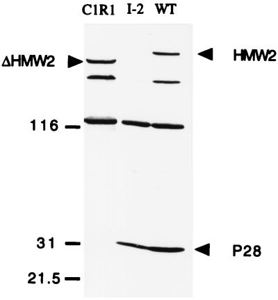 FIG. 6