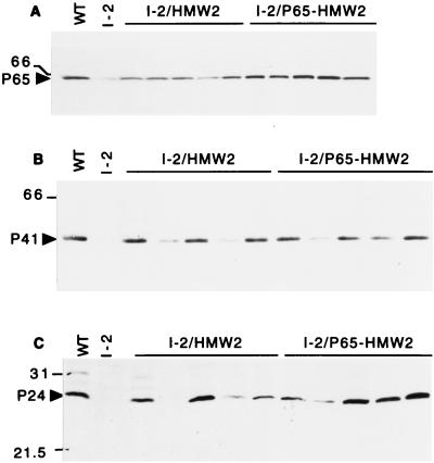 FIG. 4