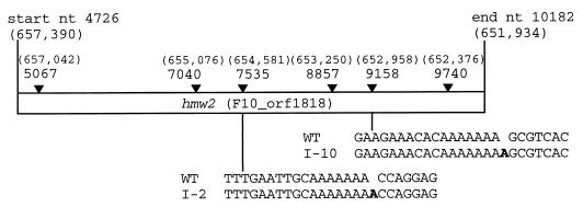 FIG. 5