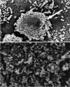 FIG. 5.