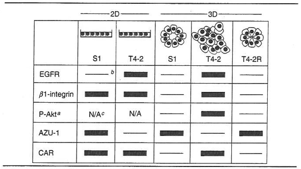 graphic file with name nihms160517t1.jpg