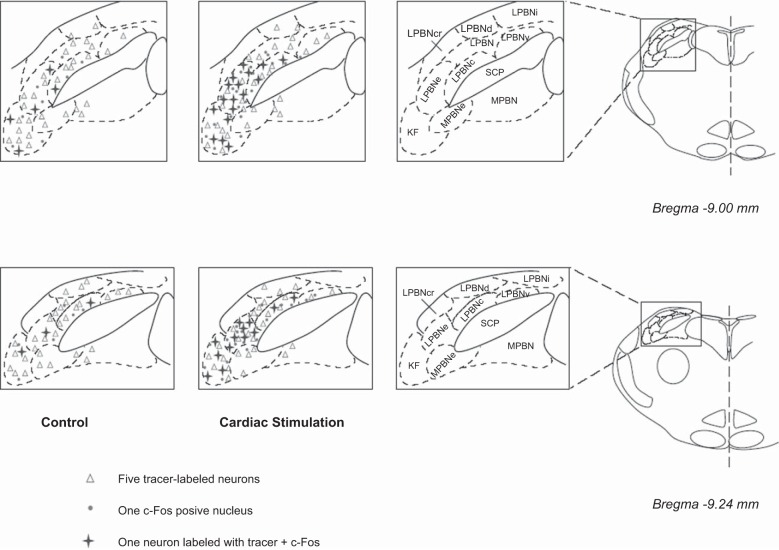 Fig. 2.