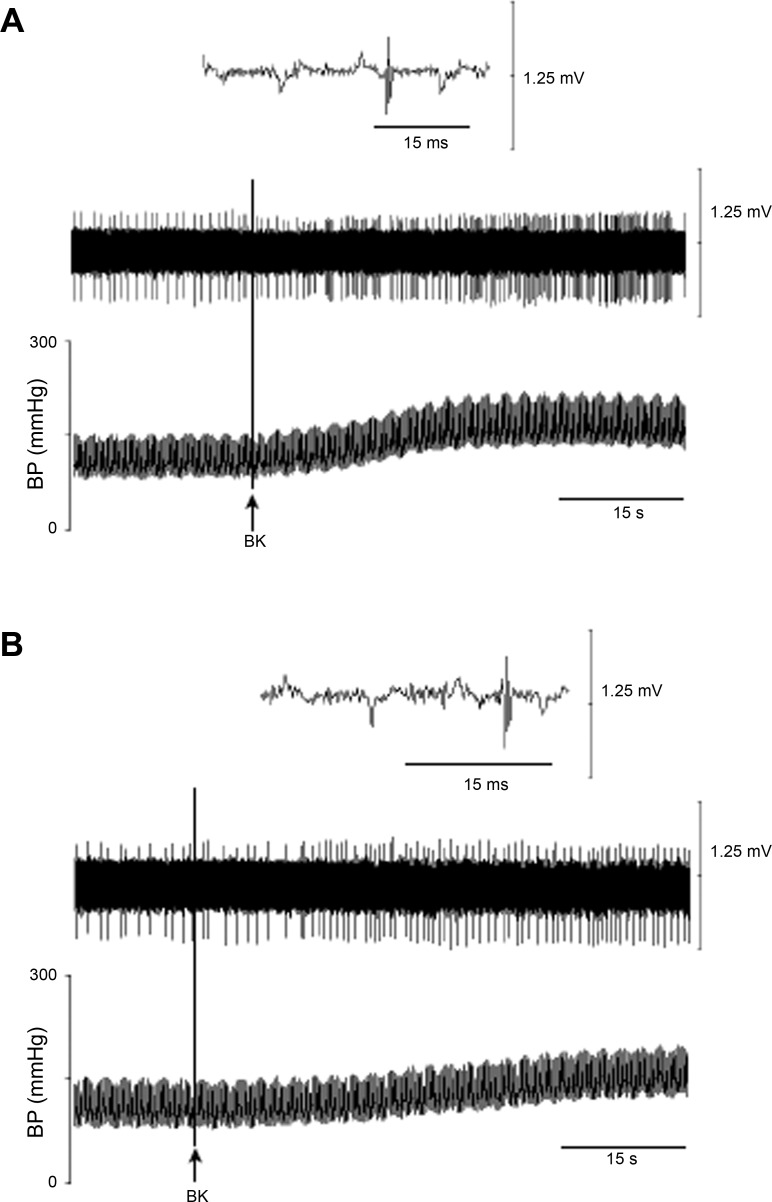 Fig. 8.