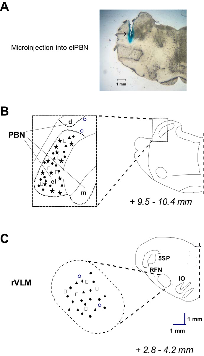 Fig. 10.