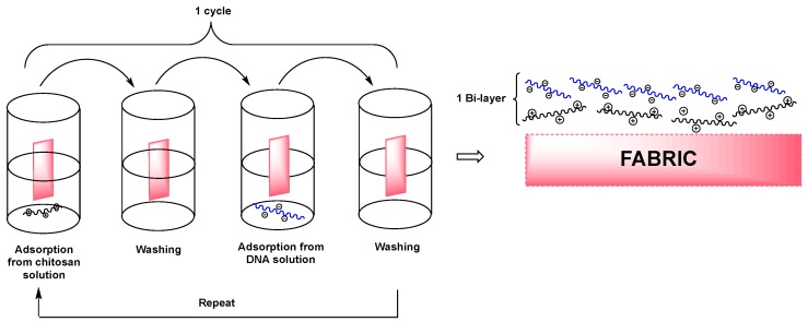 Figure 30