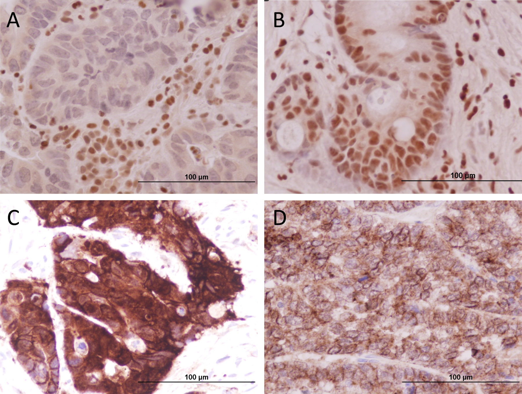 Figure 2: