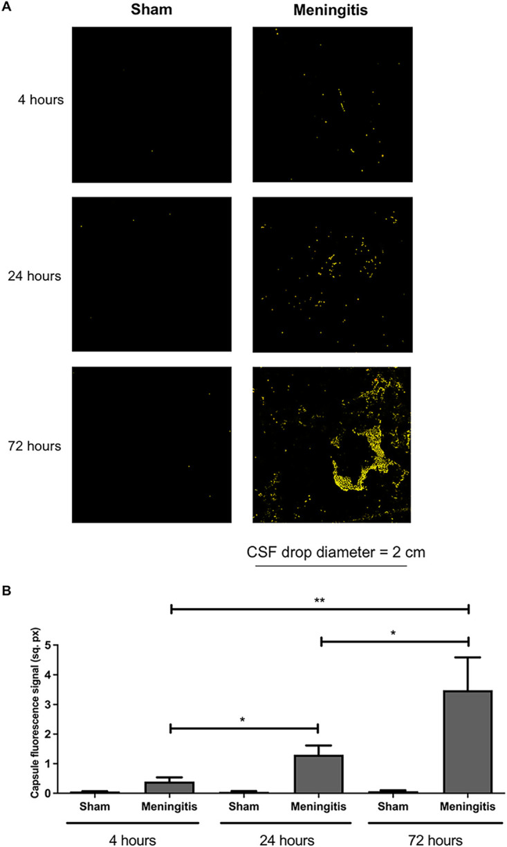 FIG 4