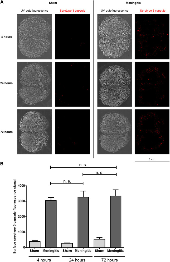 FIG 6