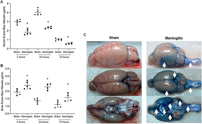 FIG 1