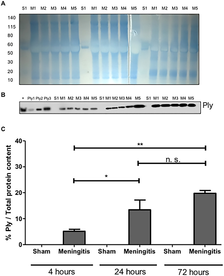 FIG 3