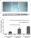 FIG 3