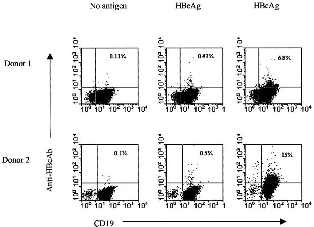 FIG. 6