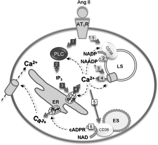 FIGURE 6.