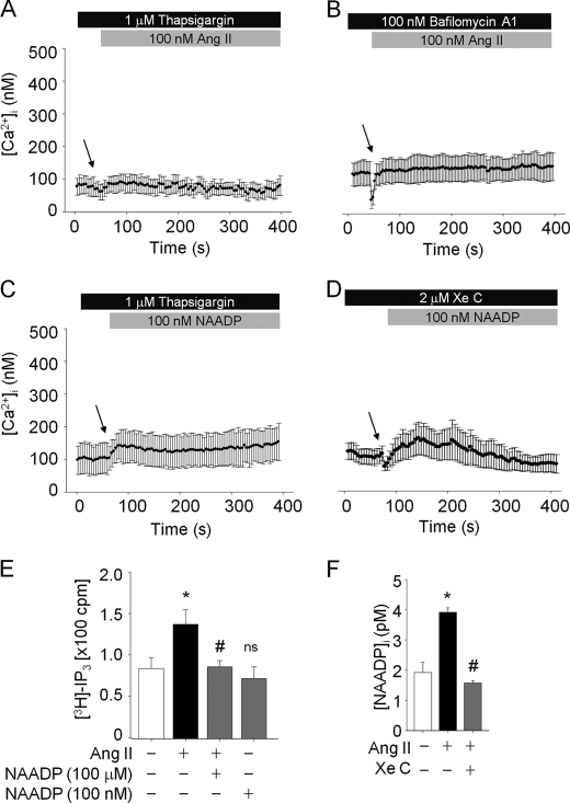 FIGURE 4.