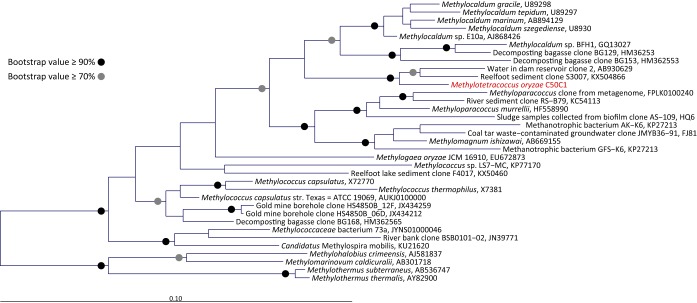 FIG 3