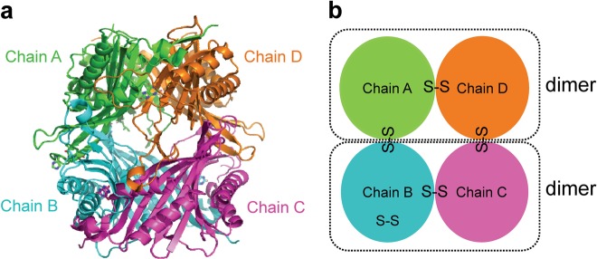 Fig. 1