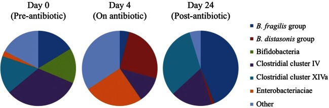 Figure 1.