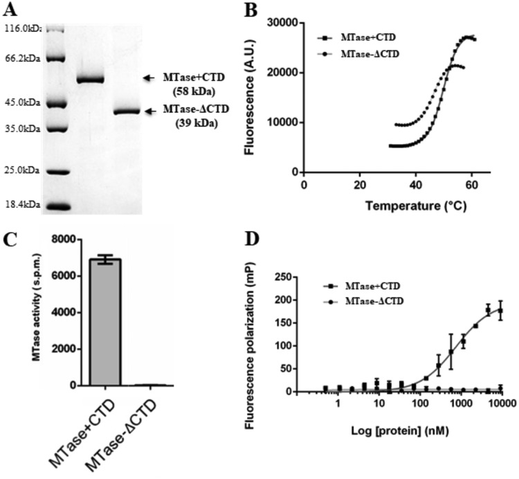 FIG 2