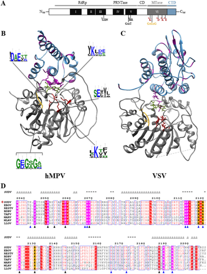 FIG 1