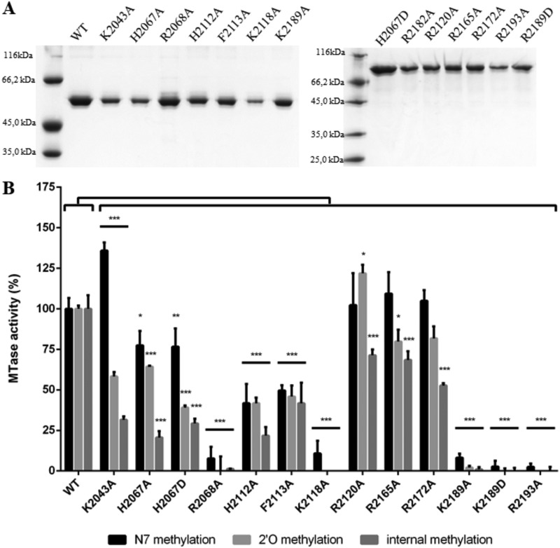 FIG 3