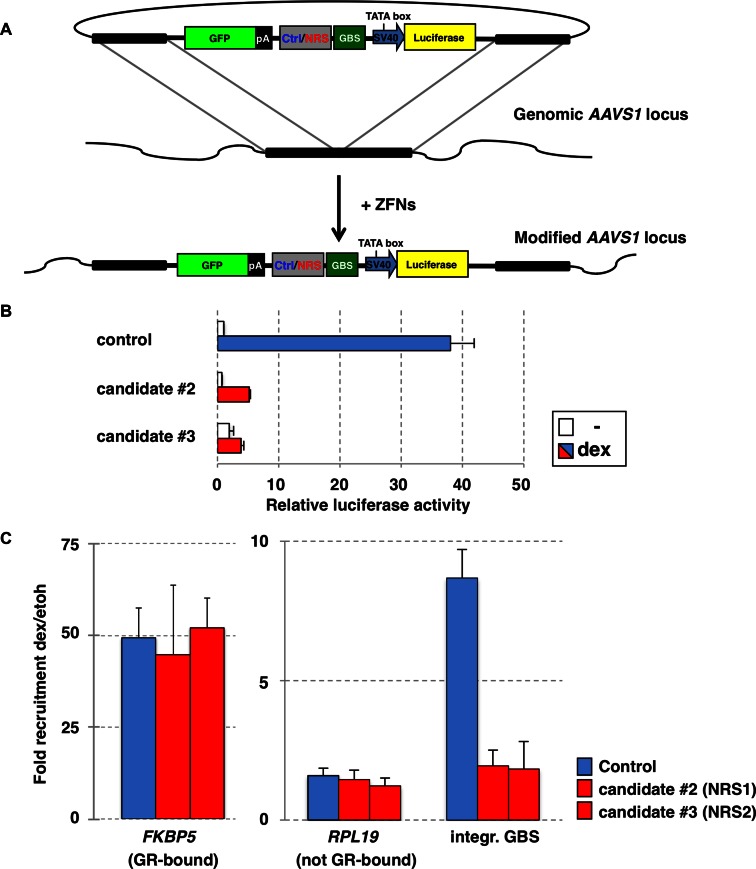 Figure 3.