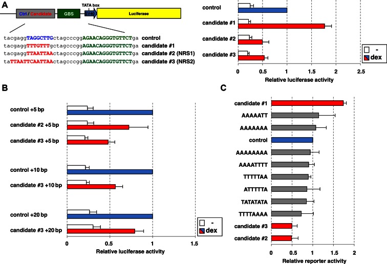 Figure 2.