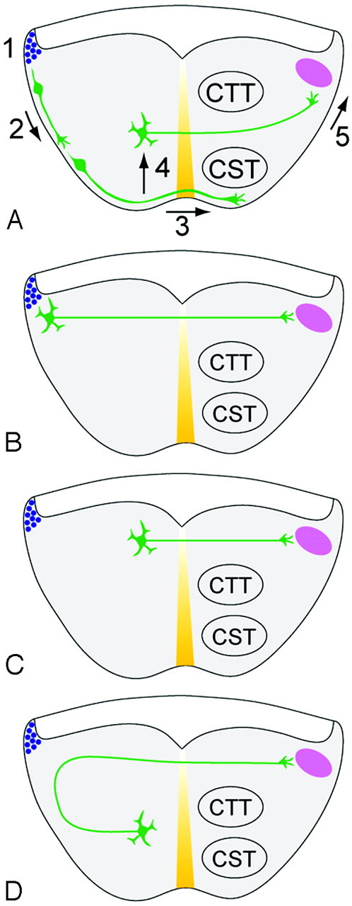 Fig 4.