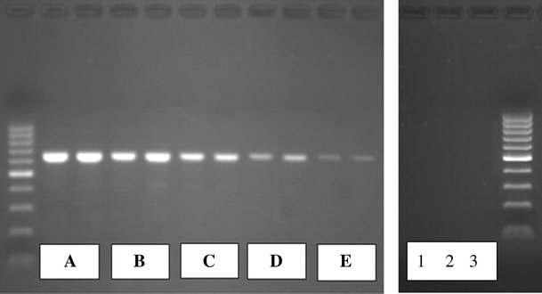 Fig. 7