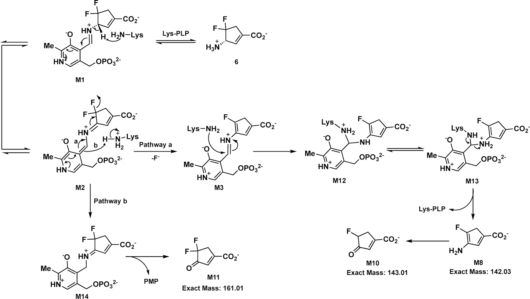 Scheme 5.