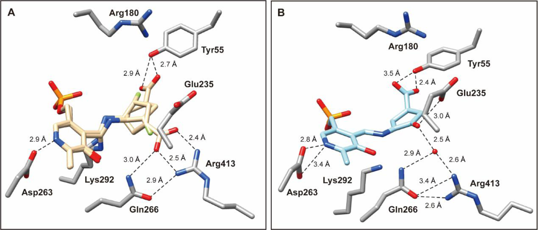 Figure 5.