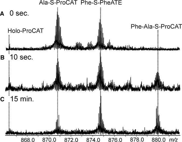 Figure 7.