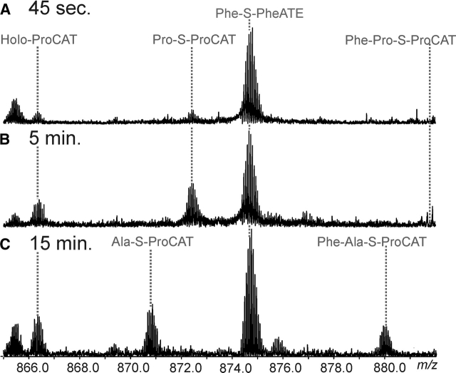 Figure 6.